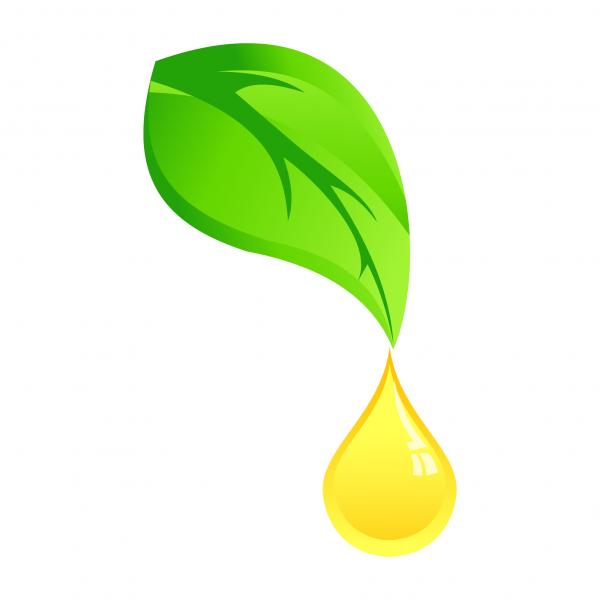 View My Young Living Essential Oils™ Profile